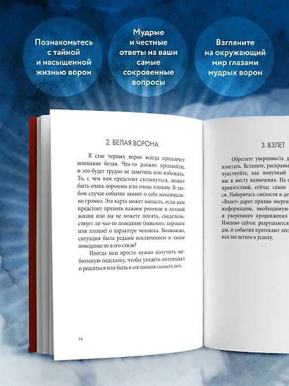 Оракул городской вороны (54 карты и руководство в коробке) - фото 6