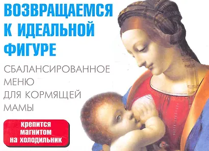 Сбалансированное меню для кормящей мамы / (мягк) (раскладушка) (25754) (Сиб. унив. изд-во) - фото 1