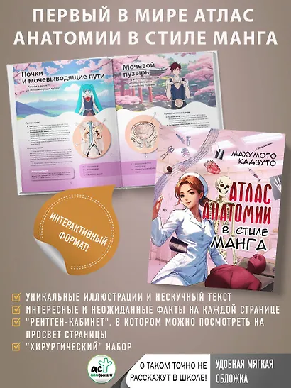 Атлас анатомии в стиле манга - фото 4