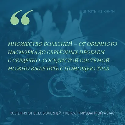 Растения от всех болезней. Иллюстрированный атлас - фото 6