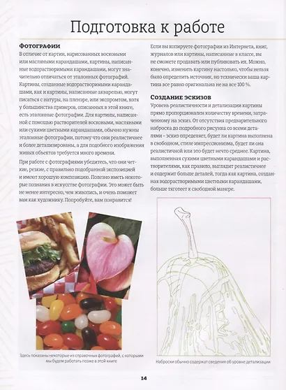 Рисуем реалистичные картины цветными карандашами. Пошаговые уроки. Школа художника - фото 2