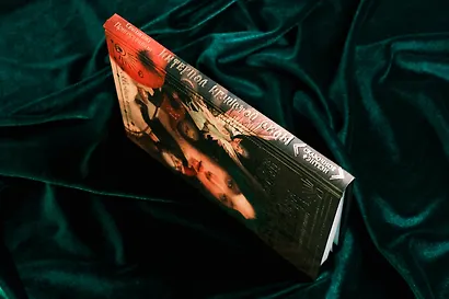 Интерпол нечистой силы - фото 12