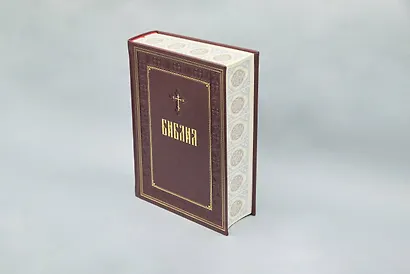 Библия. Книги Священного Писания Ветхого и Нового Завета - фото 10