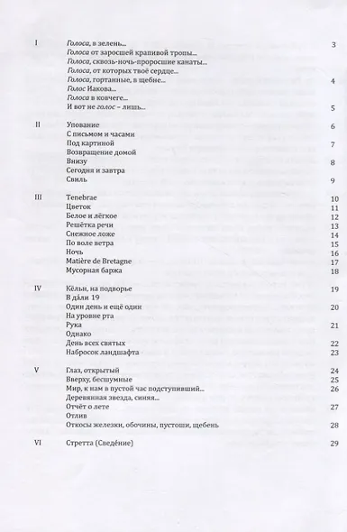 Решетка речи - фото 2