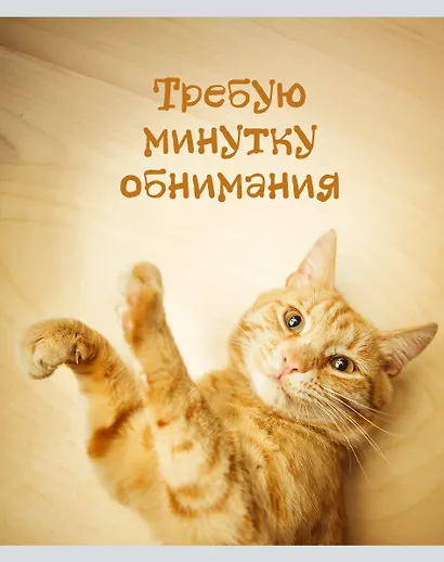 Тетрадь общая «Кото - терапия», 48 листов в линейку, А5, в ассортименте - Listoff - фото 3