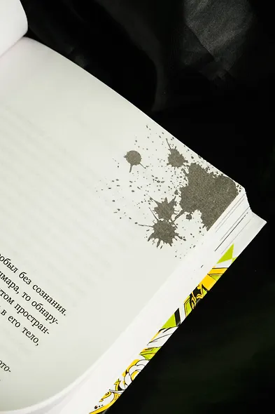 Настоящее пробуждение. Real Awakening. Книга 4 - фото 14