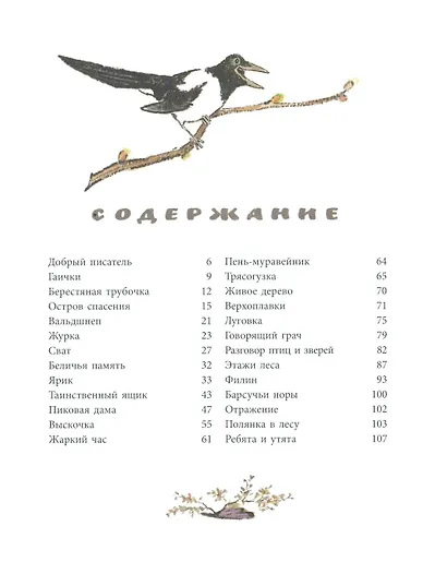 Берестяная трубочка: рассказы - фото 2