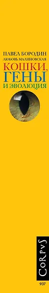 Кошки, гены и эволюция - фото 4