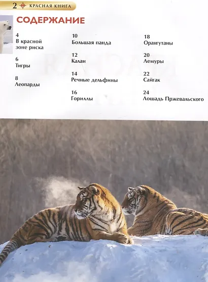 Красная книга. Детская энциклопедия - фото 6