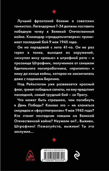 Последний бой штрафника - фото 2
