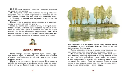 Лисичкин хлеб - фото 10