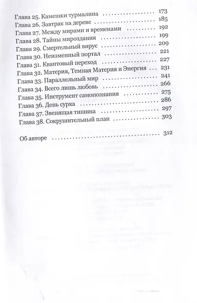David&Foxy. Сказка о возвращении души: роман - фото 4