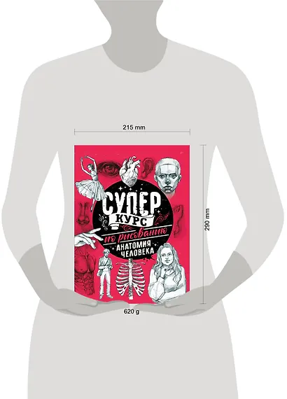 Суперкурс по рисованию. Анатомия человека - фото 3