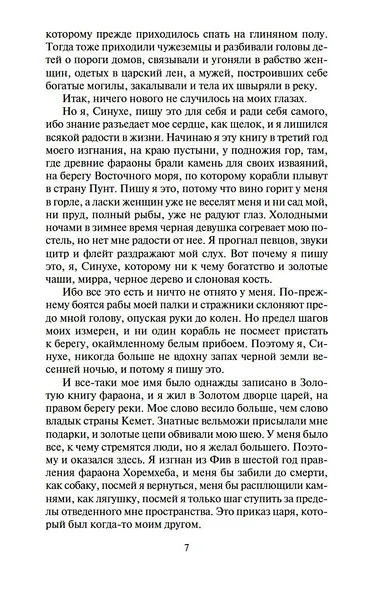 Египтянин - фото 8