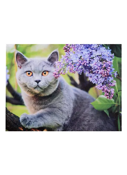 Алмазная мозаика Любопытный котик, 30*40 см. - фото 1