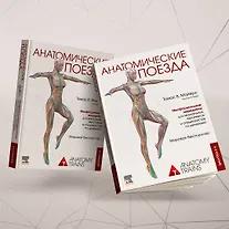 Анатомические поезда - фото 13