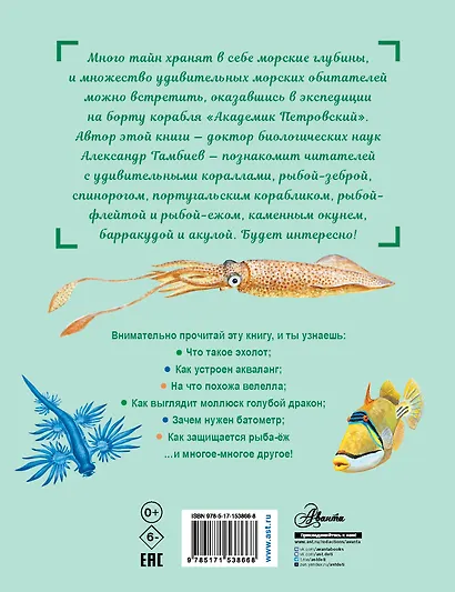 Как увидеть морское дно? - фото 2