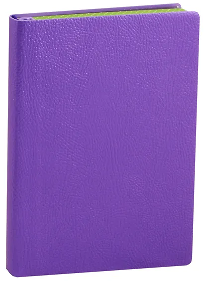 Ежедневник недатированный А6 160 листов "Наппа" фиолетовый - фото 1