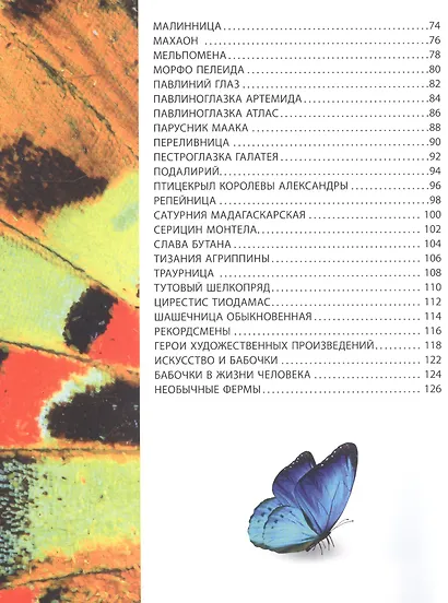 Самые красивые бабочки. Детская энциклопедия - фото 3