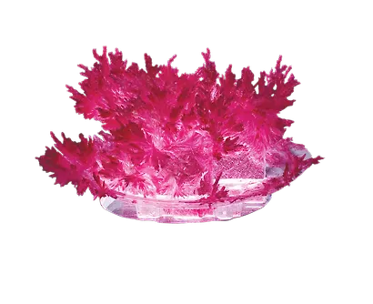 Набор для творчества LORI Лучистые кристаллы "Малиновый кристалл" - фото 2