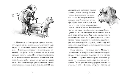 Кот Тихон в поисках города на букву "Эс" - фото 13