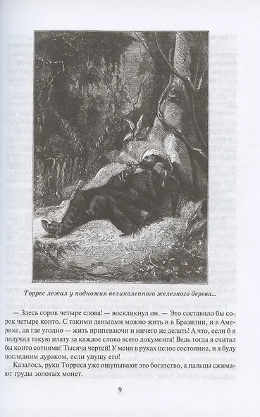 Жангада, или 800 лье по Амазонке - фото 4