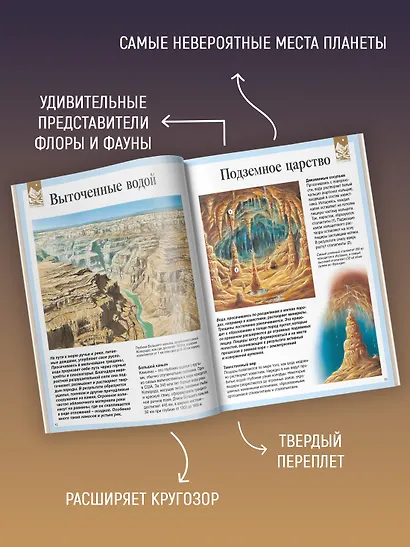 Детская энциклопедия про всё на свете - фото 5