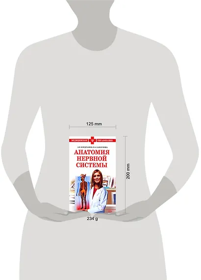 Анатомия нервной системы - фото 2