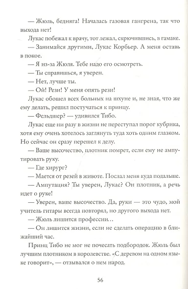Королевство Краеугольного Камня : Мастер крушений : Книга I - фото 2