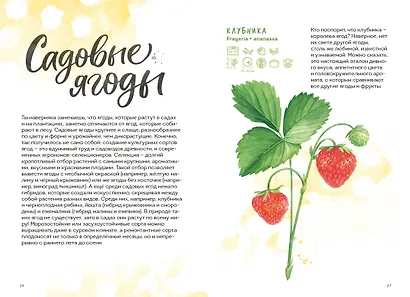 Ягоды. Атлас-определитель - фото 12