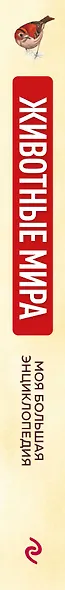 Животные мира. Моя большая энциклопедия - фото 14
