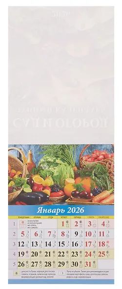 Календарь 2026г 96*135 "Сад и огород. Лунный календарь" на магните - фото 3