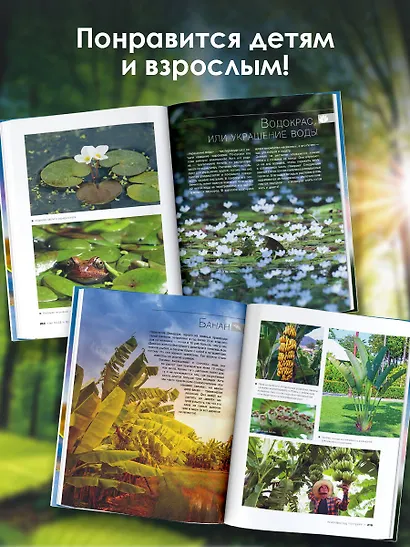 Большая книга о растениях. 1001 фотография - фото 5