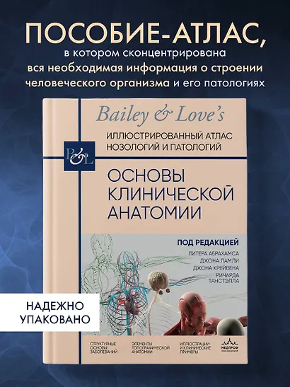 Основы клинической анатомии. Иллюстрированный атлас нозологий и патологий - фото 4
