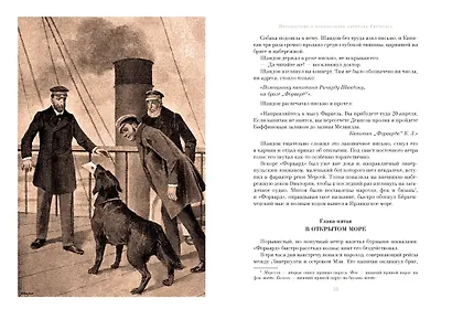 Путешествие и приключения капитана Гаттераса. Найденыш с погибшей "Цинтии" - фото 4