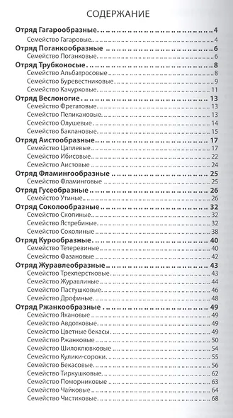 Всё о птицах России - фото 2