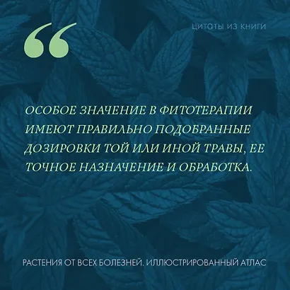 Растения от всех болезней. Иллюстрированный атлас - фото 8