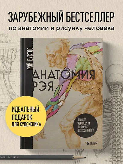Анатомия Рэя. Большое руководство по рисунку для художников - фото 4