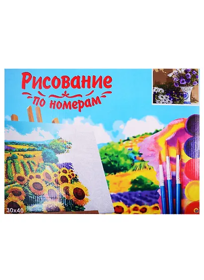Набор для творчества Рыжий кот Холст с красками для рисования 30х40см по номерам. (24цв.) Свежие полевые цветы ХК-7700 - фото 2