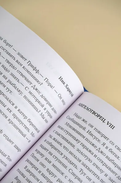 Ангелотворец - фото 10