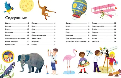 Моя первая энциклопедия в картинках - фото 2