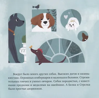 Белка и Стрелка. История о том, как простые дворняжки обогнали гончего пса - фото 3