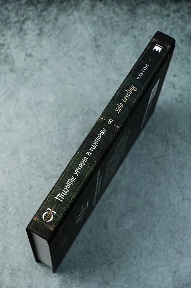 Поднятие уровня в одиночку. Книга 8 (Solo Leveling). Новелла - фото 8