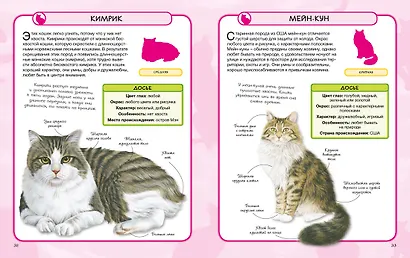Кошки - фото 6