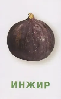 Фрукты и ягоды. Развивающие карточки - фото 3