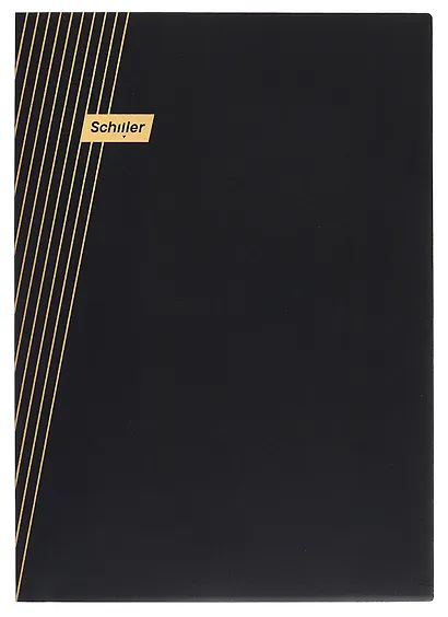 Папка-уголок А4 "Line" черная, пластик 0,4мм, Schiller - фото 4