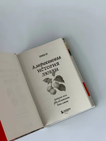 Американская история любви. Рискнуть всем ради возможности быть вместе - фото 12
