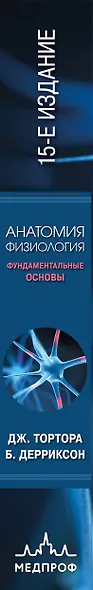 Анатомия. Физиология. Фундаментальные основы. 15-е издание - фото 5