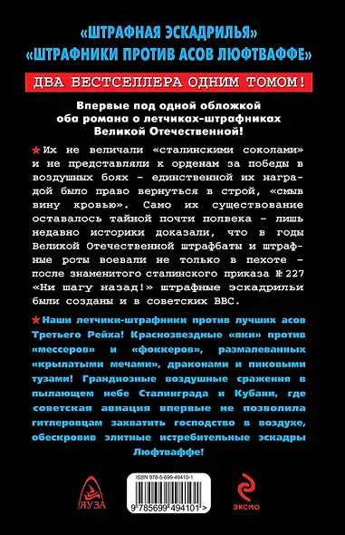 Крылатый штрафбат. Пылающие небеса - фото 2