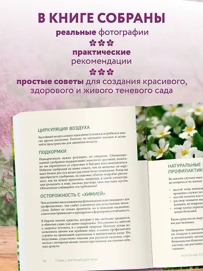Магия теневого сада. Как выбрать идеальные растения для потаенных уголков участка и создать красивые композиции - фото 6